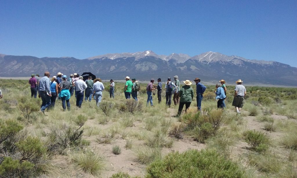 Range professionals observe grasses and shrubs in Colorado's San Luis Valley